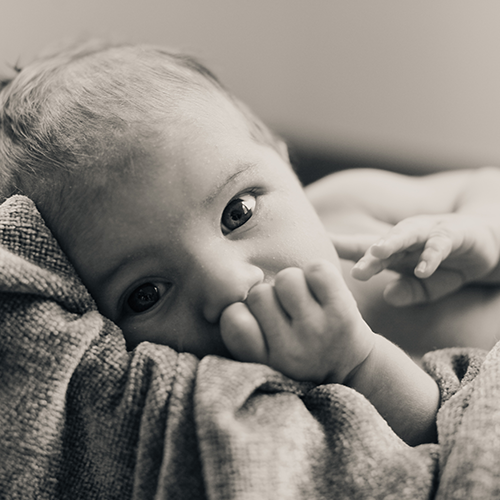 Lactation Services
